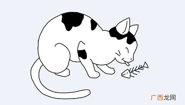 梦见猫吃鱼