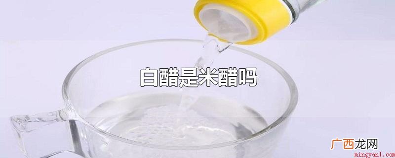 米醋和白醋有什么不同 白醋是米醋吗