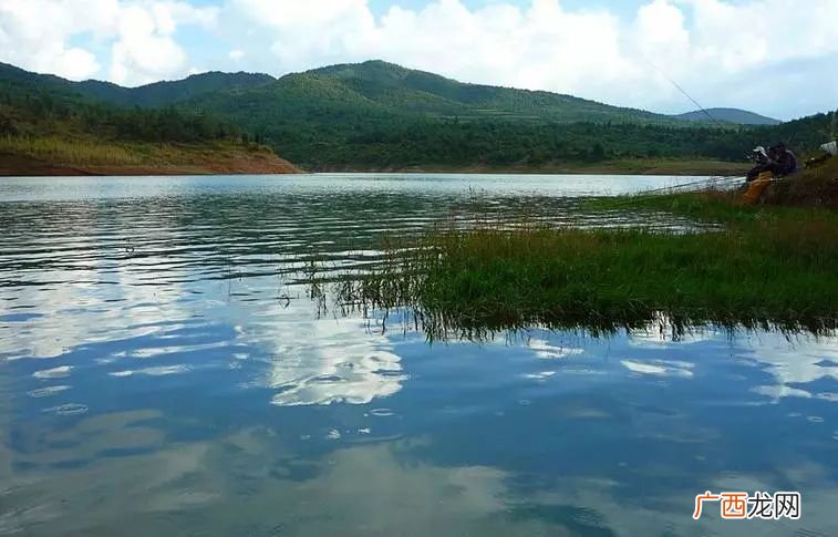 董埔水库可以钓鱼吗,合肥野钓鲫鱼最佳地点？