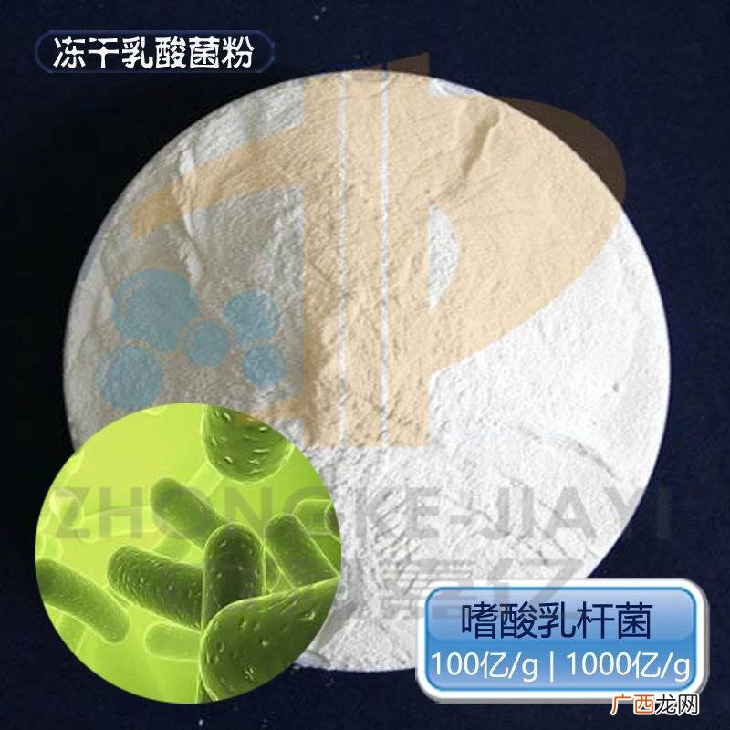 嗜酸乳杆菌属于发酵乳杆菌吗,乳酸菌和乳酸杆菌有什么区别？