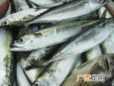 怎样腌制鲐鲅鱼,鲐鲅鱼正宗腌制方法?
