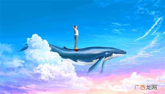 梦见鱼在天上飞