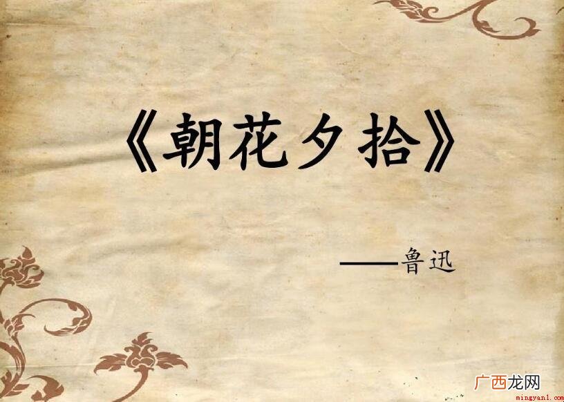《朝花夕拾》好词好句摘抄 《朝花夕拾》好词好句摘抄有哪些