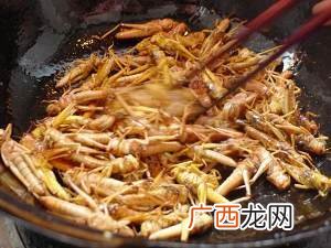 油炸蚂蚱怎么吃,油炸蚂蚱腿面食怎样酥？