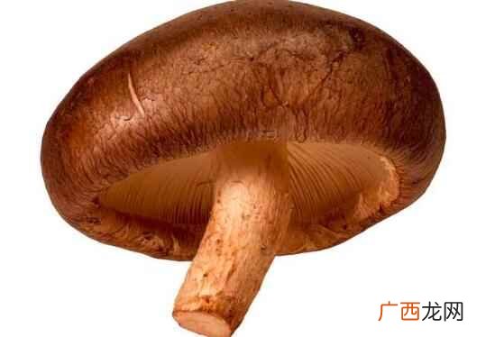 孕妇可以吃香菇吗