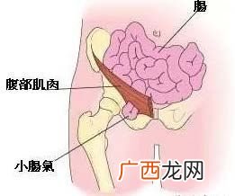 疝病分多少种,狗狗身上鼓起了个大气泡？