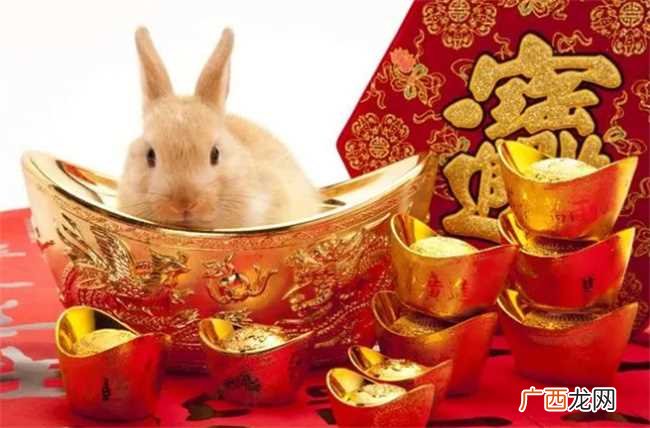 兔与什么属相最配