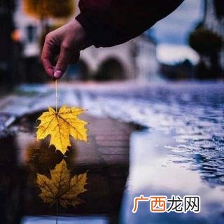落雨秋寒的作品有哪些,有什么好看的古代女主重生复仇小说？