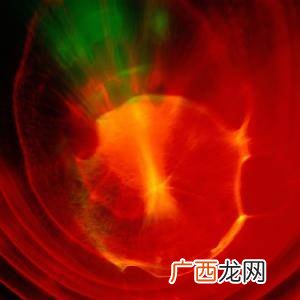 光谱的定义是什么,什么是荧光激发光谱、荧光发射光谱的概念？