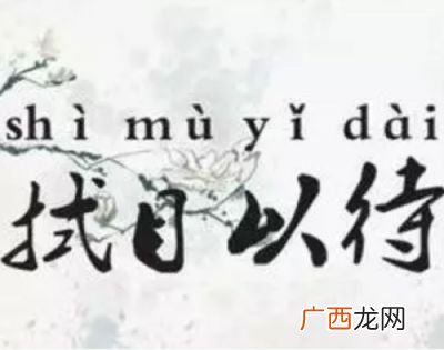 拭目以待是什么意思,拭目以待的以？