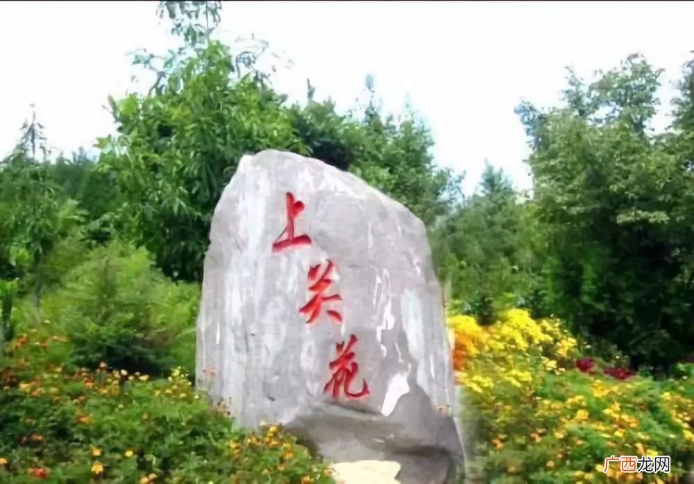 上关花是指什么花,上官朝珠花真的存在吗？