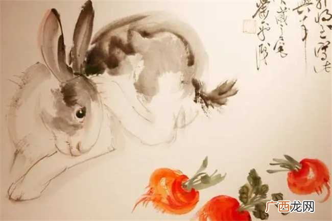 兔的敌人生肖是什么