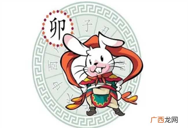 属兔男的运势
