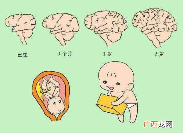 什么是增殖期,细菌的四个周期？