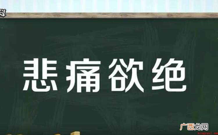 悲痛欲绝的意思是什么