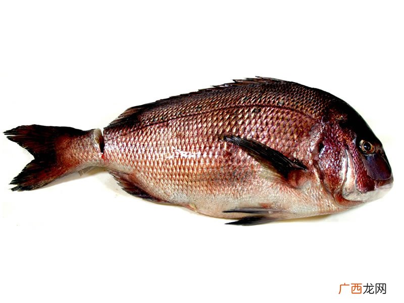 冰冻红鲷鱼肉怎么煮才好吃,海南鲷鱼做法？