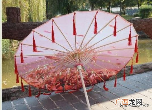 伞的种类,伞的种类和用途图片?
