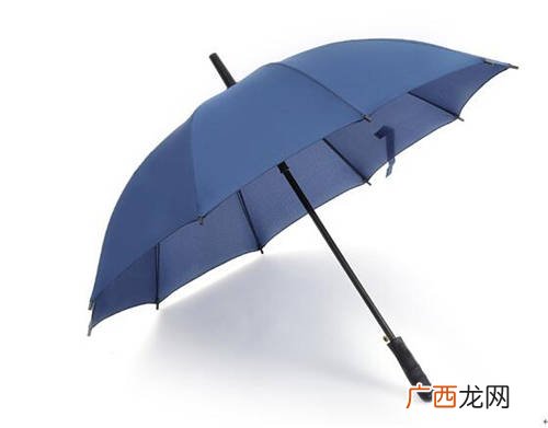 伞的种类,伞的种类和用途图片?