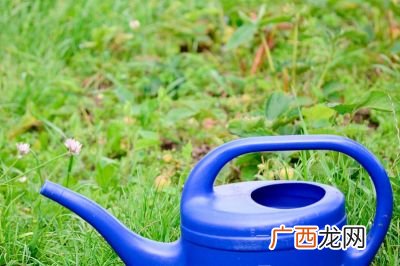 浇花的水壶叫什么,用于浇花的水壶叫什么？