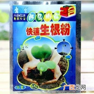 生根粉配方,如何自制生根粉？