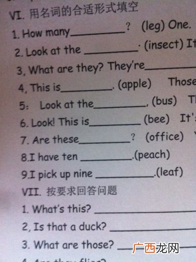 Sofa有复数吗,如何用英文表示“一对”的单位？