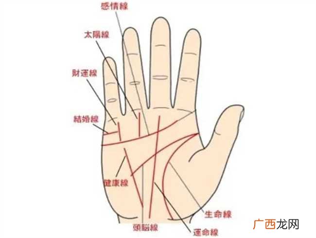男人手相如何看财运好坏