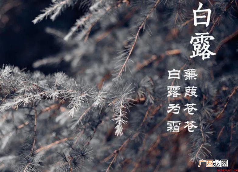 白露历史背景有什么吗? 白露历史渊源有哪些
