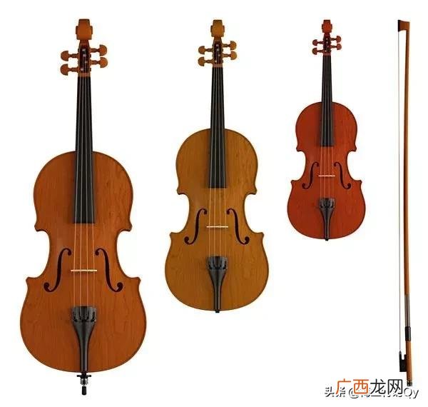 提琴组中哪个乐器音域最低,中提琴和小提琴哪个演奏的音更高？