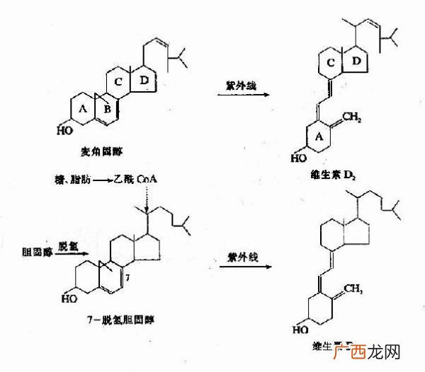碳酸钙与碳酸氢钙有什么区别,碳酸钙怎么转化成碳酸氢钙？