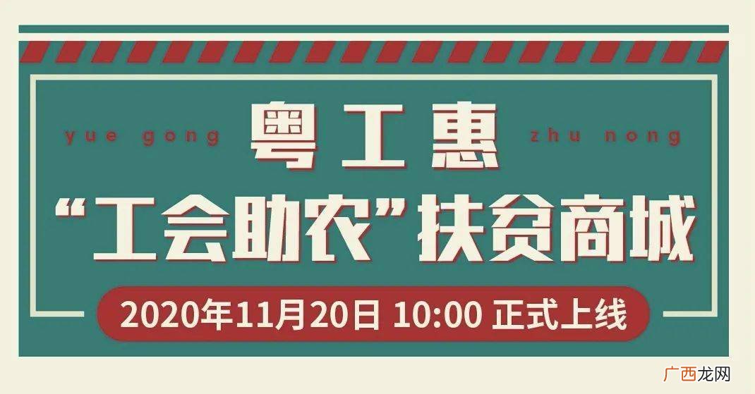 粤工惠有什么用,粤工惠怎么注册登录？