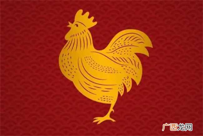 属鸡的和什么属相不合