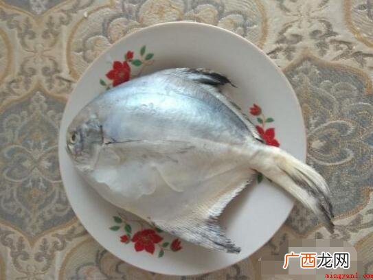 平鱼怎么做好吃 简易美味清蒸的平鱼 平鱼怎么做好吃