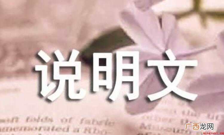 说明方法有哪几种