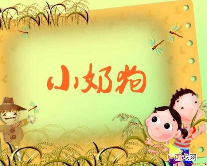 小奶狗是什么意思