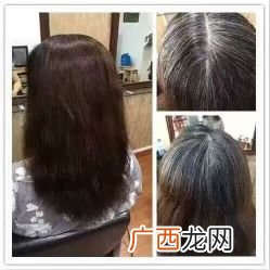 天竺草是什么,龙口花花语是什么？