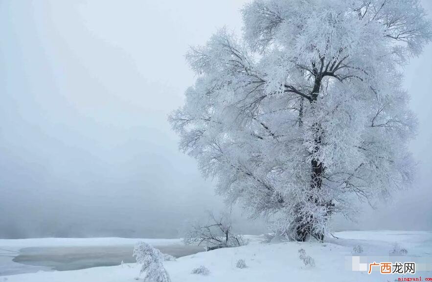 冬雪雪冬小小寒是什么意思 冬雪雪冬小大寒是什么意思