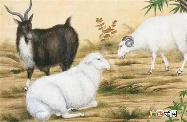 生肖属羊一生的运势如何 生肖属羊一生运势