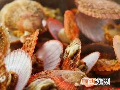 大扇贝怎么吃