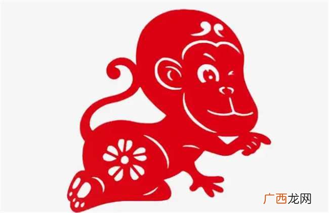 几月猴子命最好