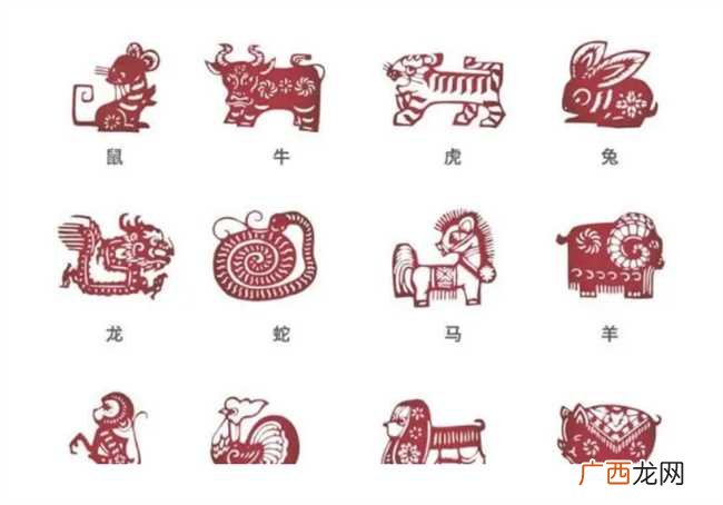 面对背叛痴心不改的三大生肖