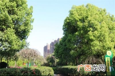 宁波有多大面积南京有多大面积,南方和北方都有哪些城市？