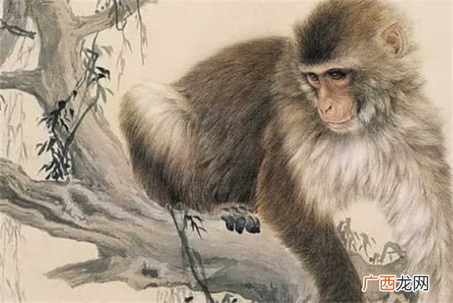 属猴女几月生是富婆命
