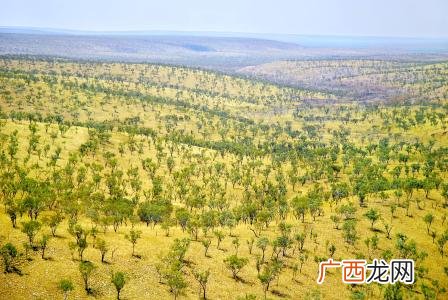 云南哪些地方是平原地区,云南平原面积？