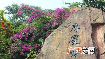 白云山什么门最近魔星岭,白云山摩星岭小路怎么上去？