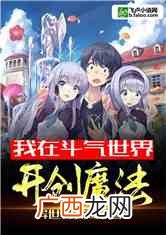 求好看的斗气魔法小说,修炼斗气魔法的小说？