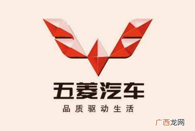 五菱宏光车标为什么火,五菱宏光的轿车标志？