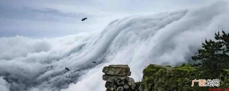 庐山云雾的两个特征是形态各异、变幻莫测 庐山云雾的两大特点是什么