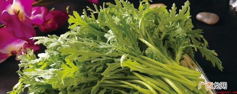 菊花菜焯水的因素 菊花菜为什么要焯水