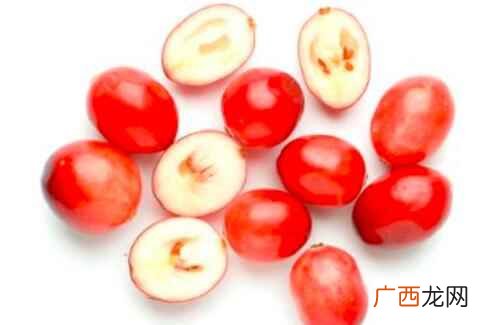 一岁的宝宝可以吃蔓越莓吗 一岁宝宝可以吃蔓越莓吗