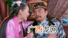 隋唐英雄4杨藩怎么死,隋唐英雄传中杨藩谁的后人？